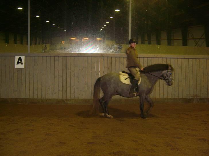 Zafir rider hjemme - Os <3
 billede 2