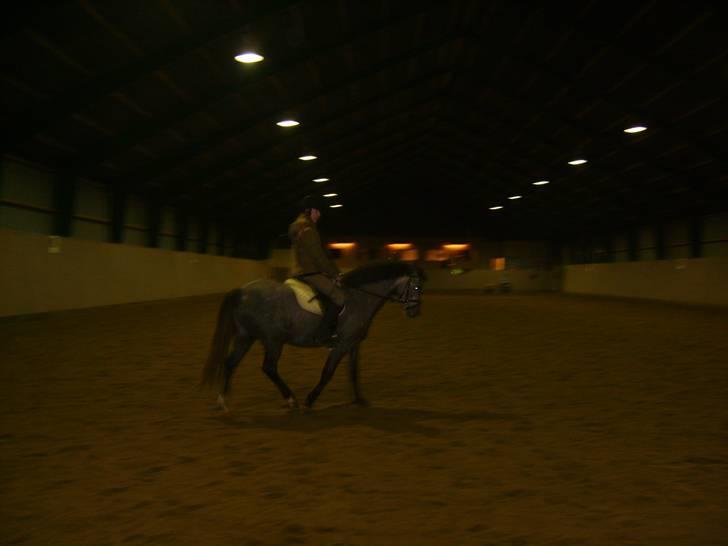 Zafir rider hjemme - ZAFIR :) billede 3