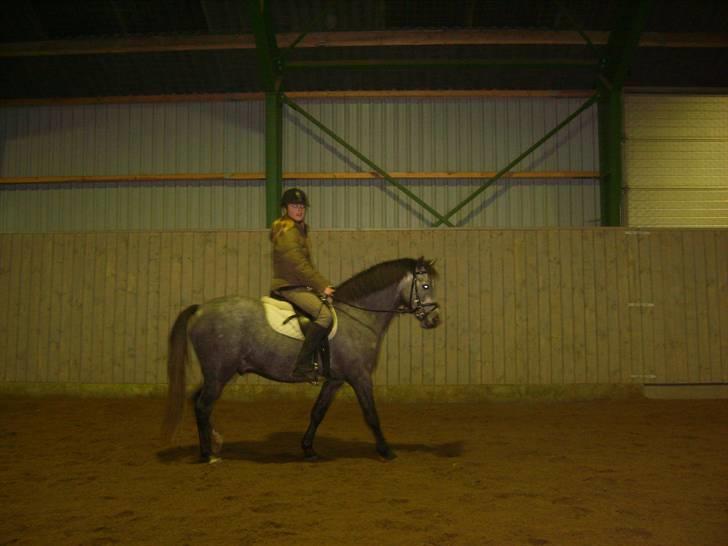 Zafir rider hjemme - Os i skridt billede 4