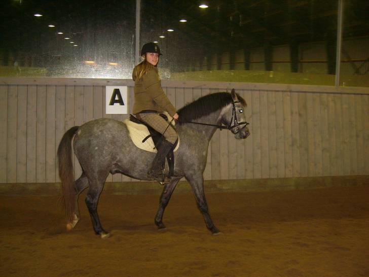 Zafir rider hjemme - Jaaa os <3 billede 6