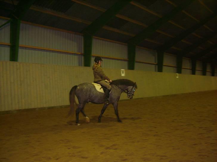 Zafir rider hjemme - Skridt<333 billede 9