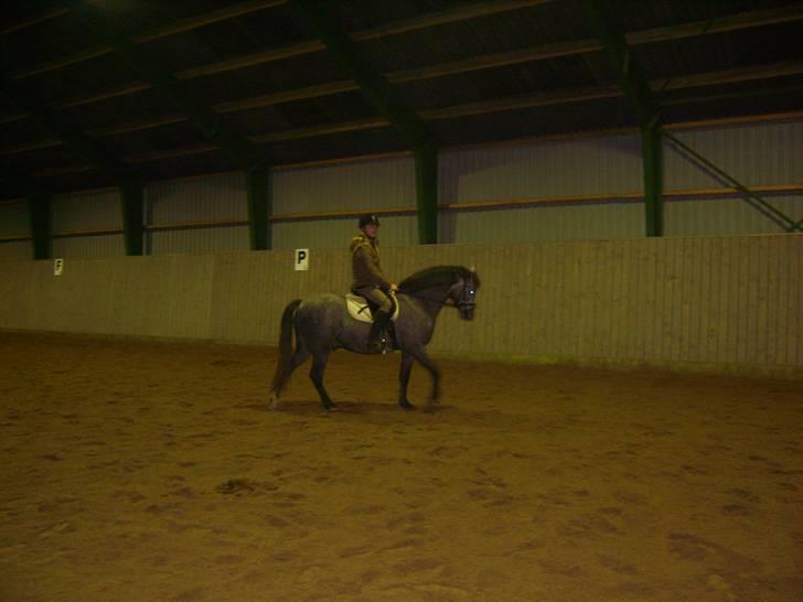 Zafir rider hjemme - Skridt <3
 billede 10