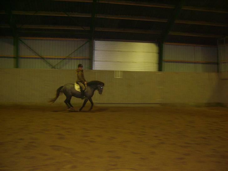 Zafir rider hjemme - Gallop <33333
<3333333333333333333333333333 billede 14
