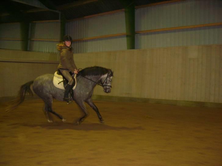 Zafir rider hjemme - Miiiin<3
 billede 1
