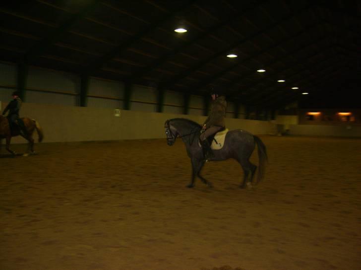 Zafir rider hjemme - OS <3 billede 19