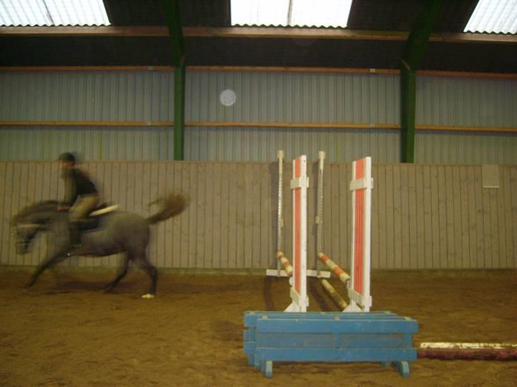 Zafir rider hjemme - Efter <3 billede 22