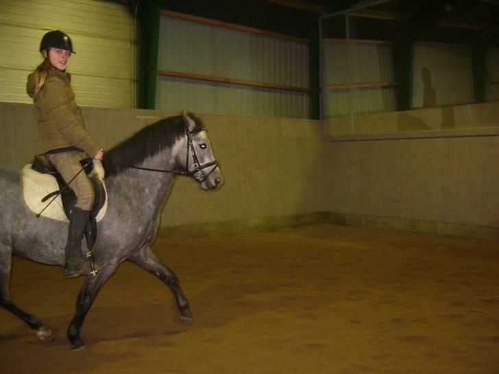 Zafir rider hjemme - Trav . billede 23
