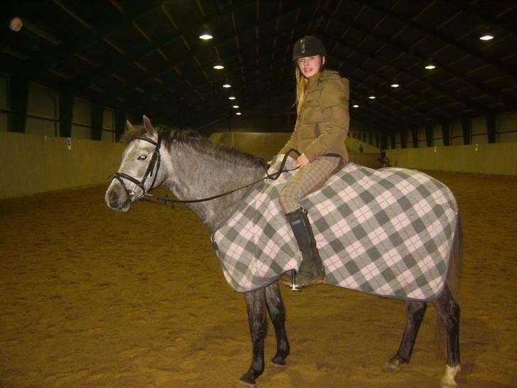 Zafir rider hjemme - Så er vi færdige billede 24