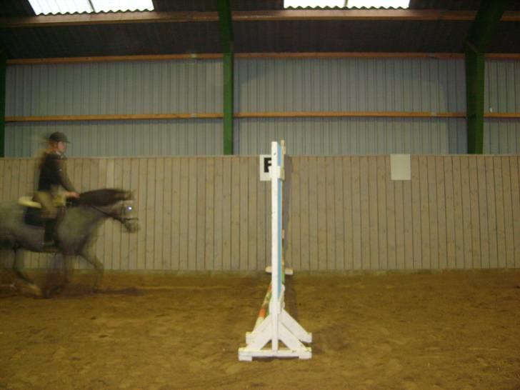 Zafir rider hjemme - Før <3 billede 25