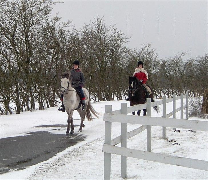Ditte, Lucas, Willy & jeg i skoven Februar 2011 billede 1