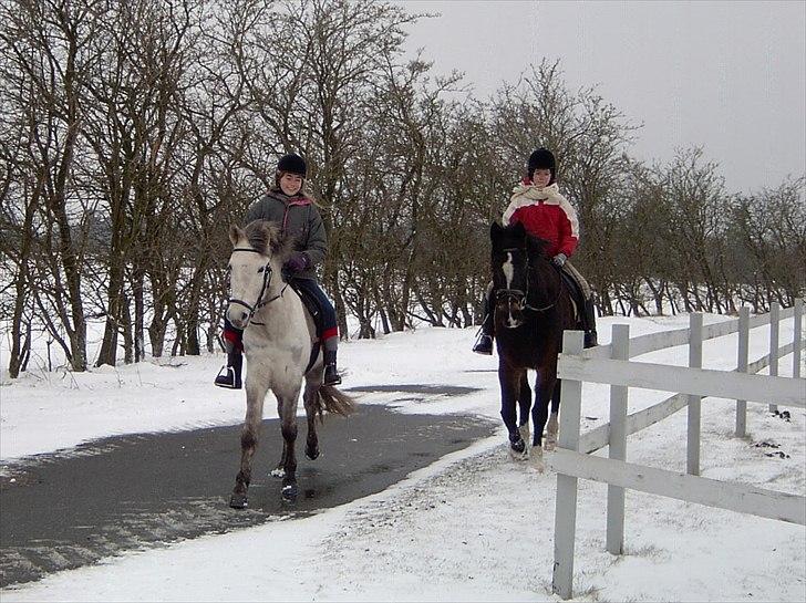 Ditte, Lucas, Willy & jeg i skoven Februar 2011 billede 2