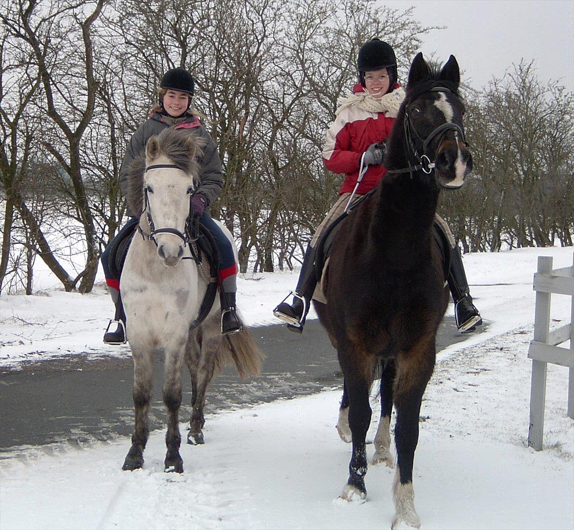 Ditte, Lucas, Willy & jeg i skoven Februar 2011 billede 3