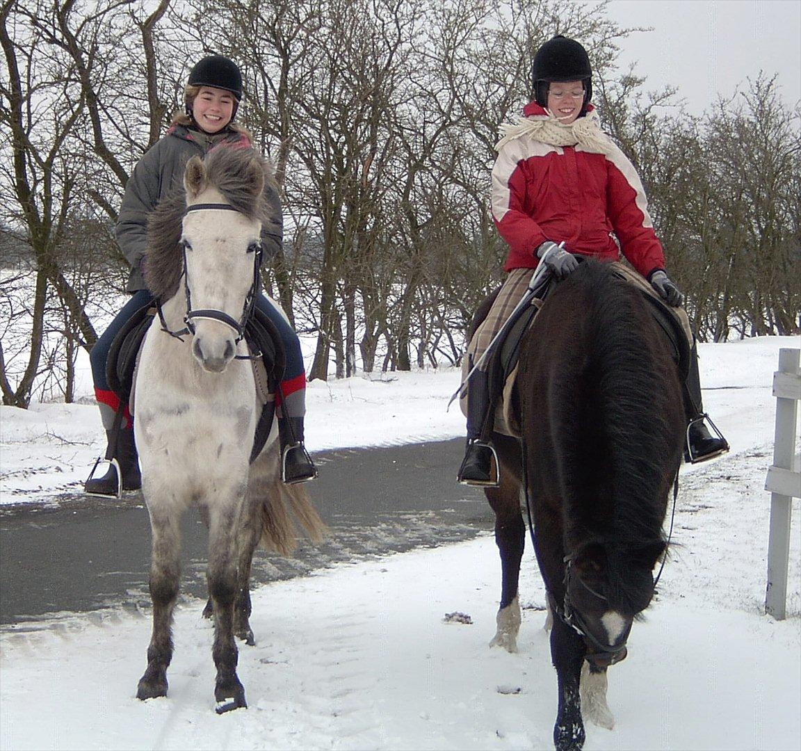 Ditte, Lucas, Willy & jeg i skoven Februar 2011 billede 4