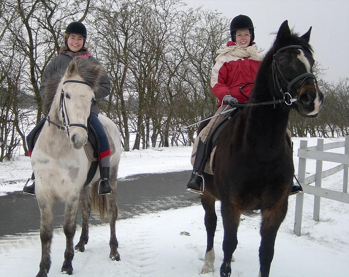 Ditte, Lucas, Willy & jeg i skoven Februar 2011 billede 5