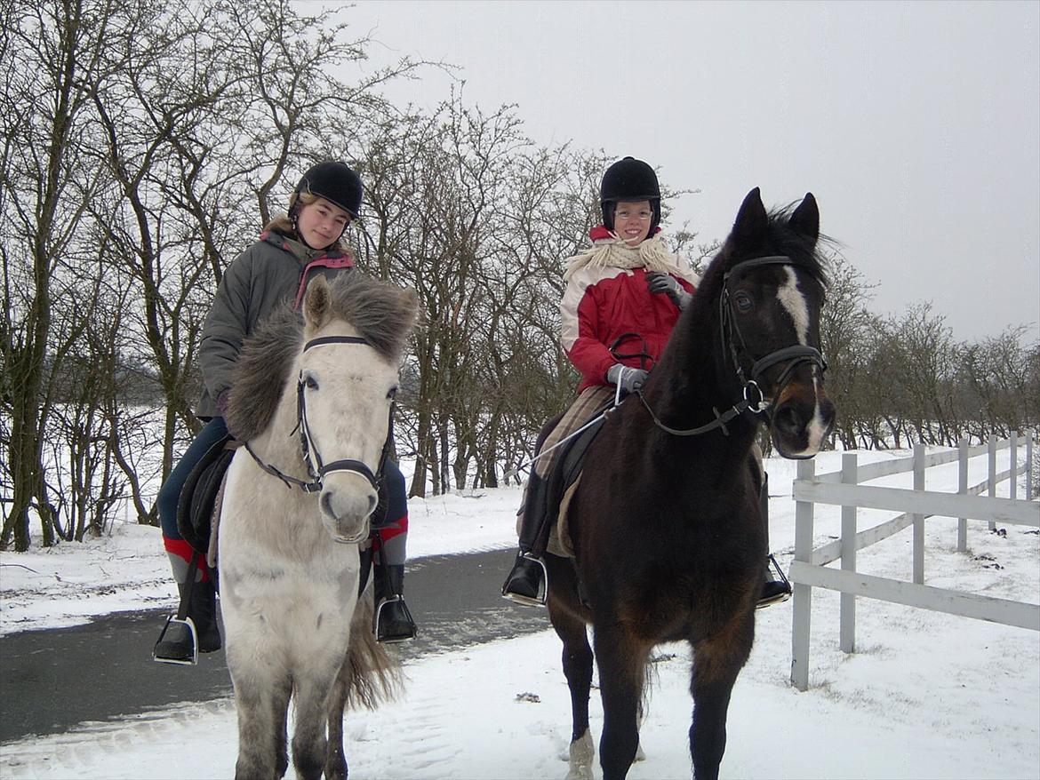 Ditte, Lucas, Willy & jeg i skoven Februar 2011 billede 6