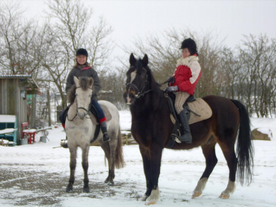 Ditte, Lucas, Willy & jeg i skoven Februar 2011 billede 7