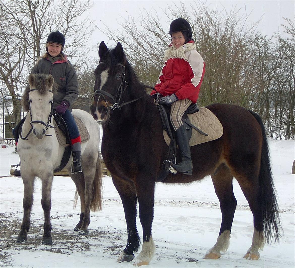 Ditte, Lucas, Willy & jeg i skoven Februar 2011 billede 8