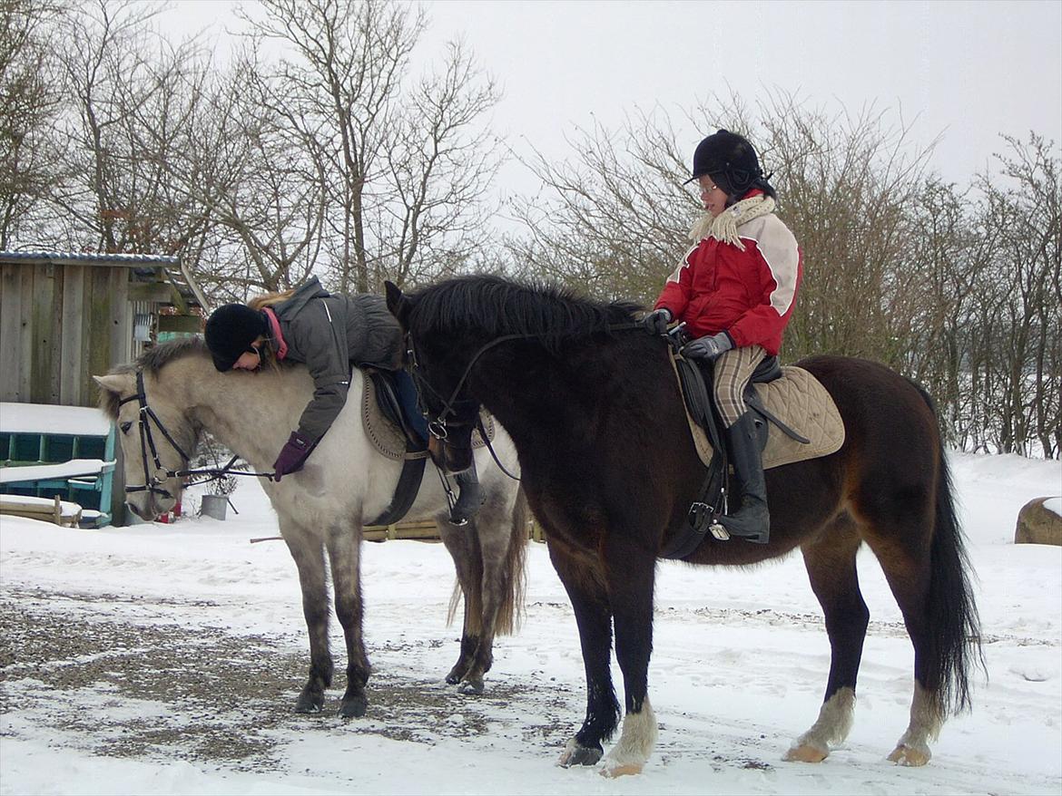 Ditte, Lucas, Willy & jeg i skoven Februar 2011 billede 9