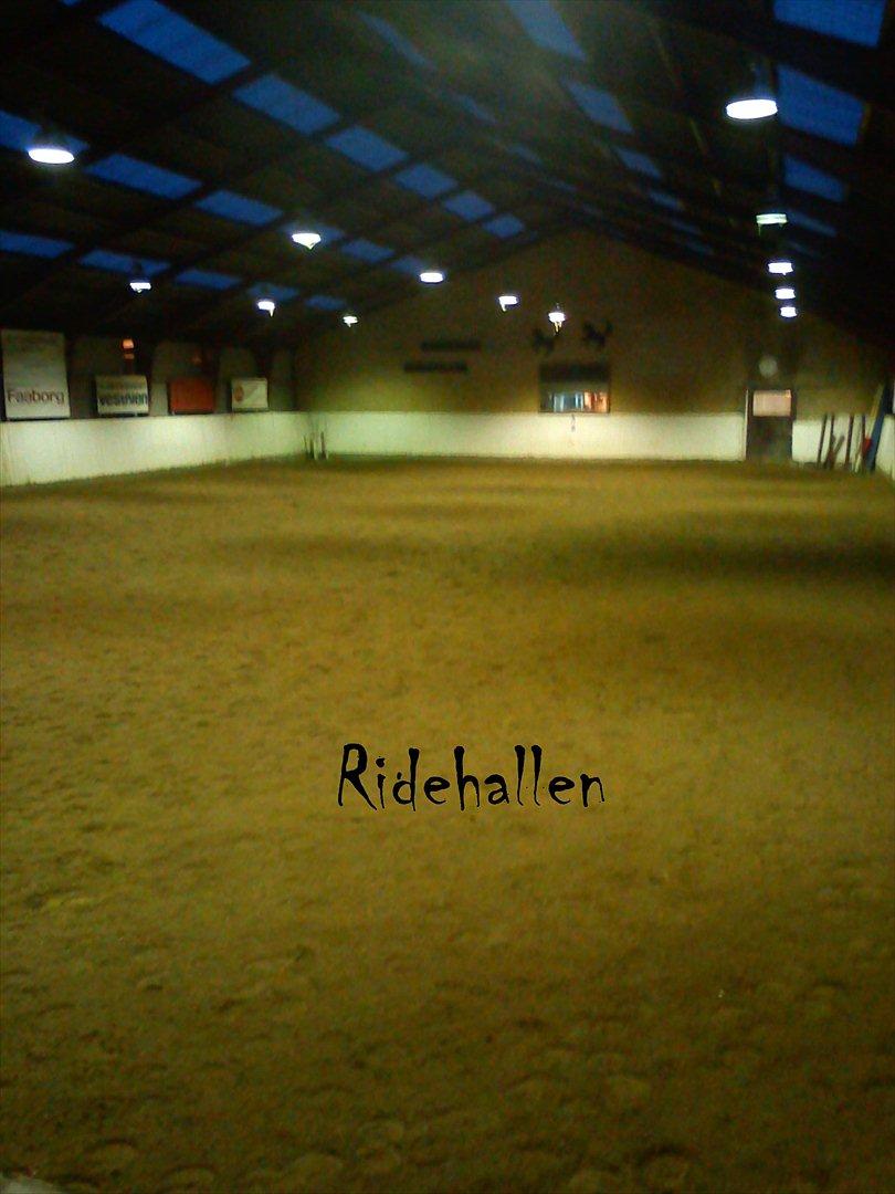 Ebberup rideklub ( EBR ) * Den bedste rideskole ever* - *RIDEHALLEN* billede 10