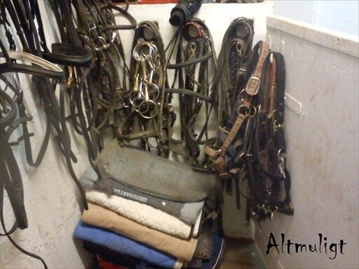 Ebberup rideklub ( EBR ) * Den bedste rideskole ever* - *ALTMULIGT* billede 11