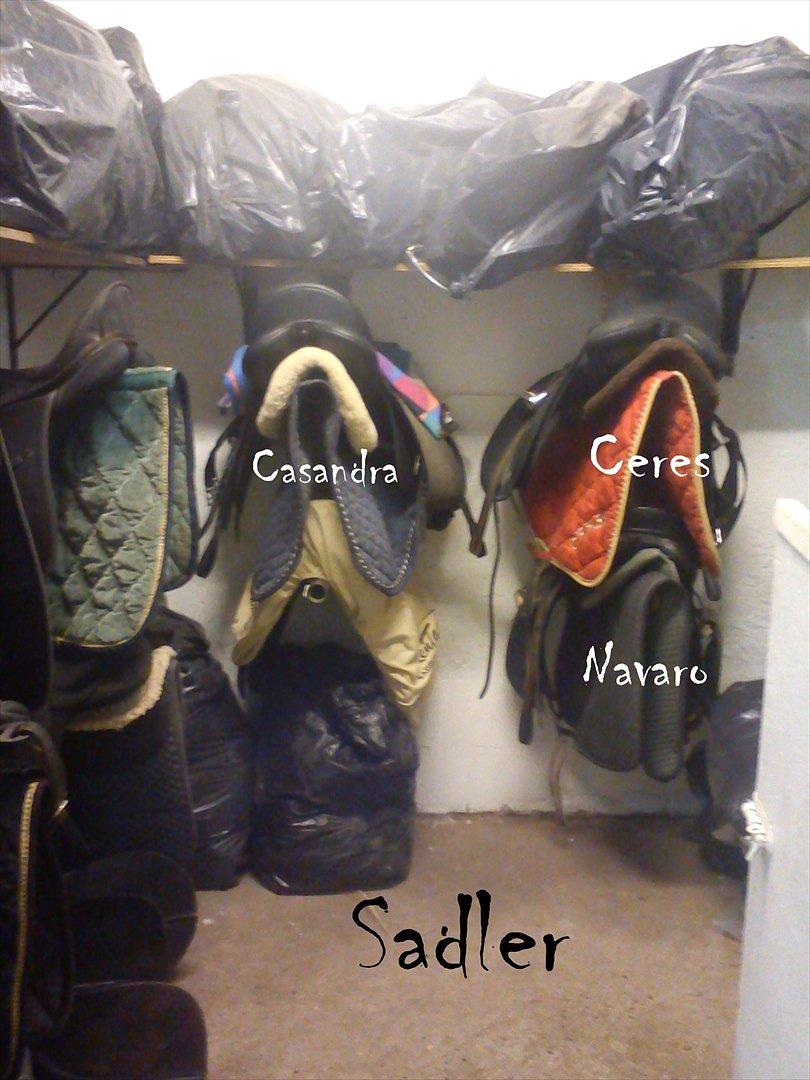 Ebberup rideklub ( EBR ) * Den bedste rideskole ever* - *SADLER* Navaro`s, Casandra`s og Ceres` :D billede 12