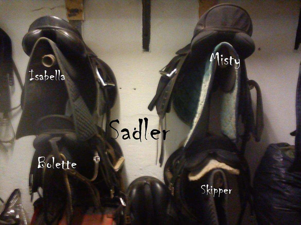 Ebberup rideklub ( EBR ) * Den bedste rideskole ever* - *SADLER* Misty`s, Isabella`s, Bolette`s og Skipper`s :D billede 13