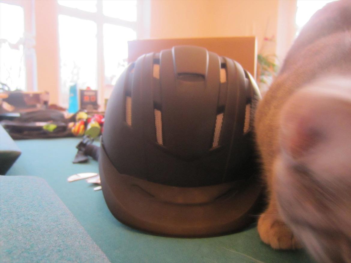 mine julegaver 2011 - ridehjelm-af bedstefar:) billede 1