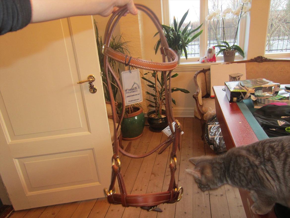 mine julegaver 2011 - sidepull str. pony-riders company-af mor og far<3 billede 6