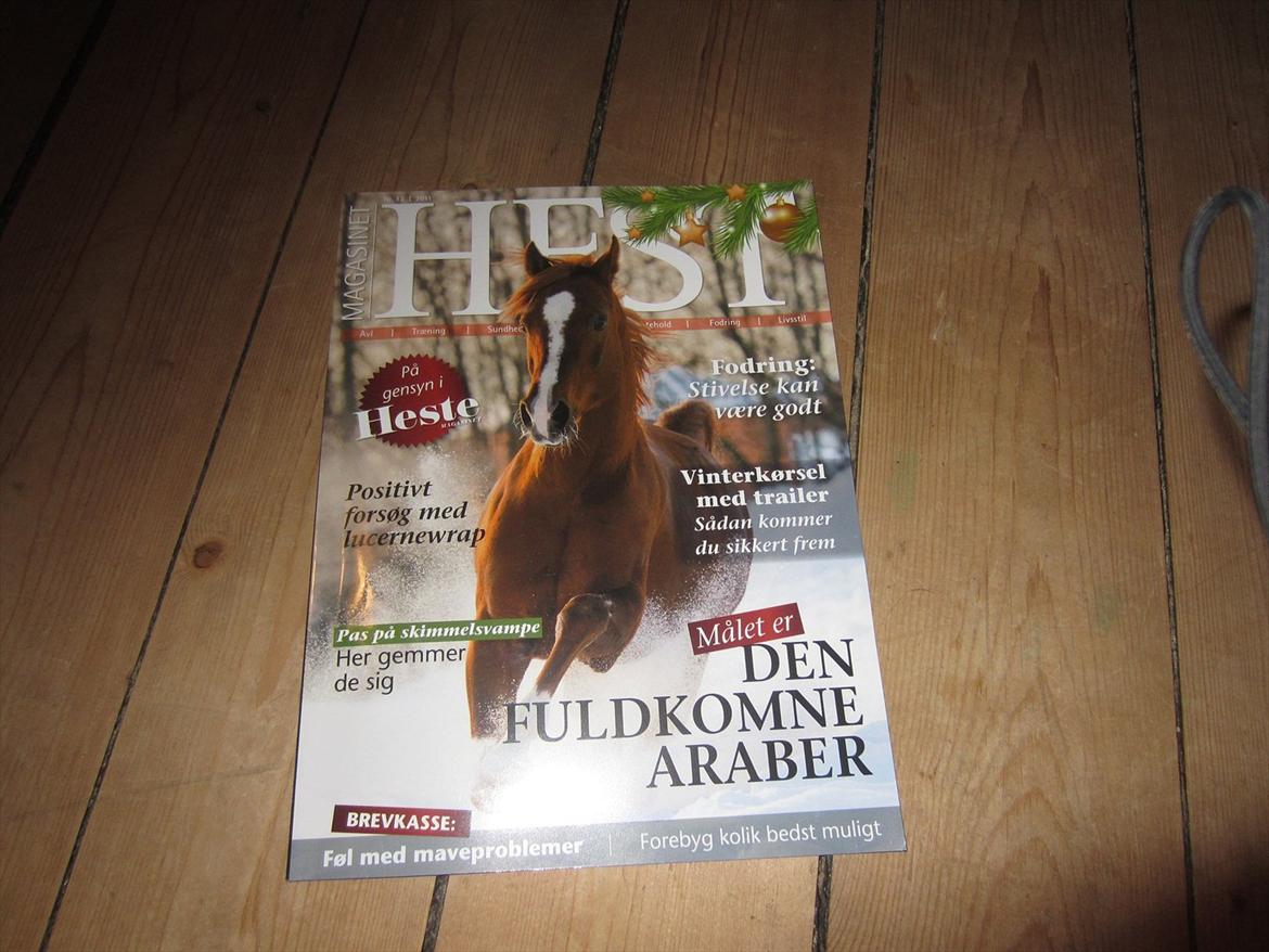 mine julegaver 2011 - 1 års abbonoment på magasinet hest- af tante og onkel billede 25