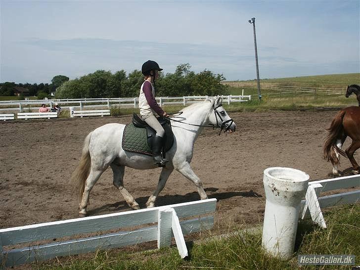 50 dage på hestegalleri :) - Dag 40:Et billede af da du startede med at ride - Billedet er fra 2007, men jeg havde redet et godt stykke tid før dette billede. Der vil snart komme et billede fra, da jeg var HELT nybegynder, hvor jeg rider på Oasen Firhøj, hvor jeg startede med at ride.  billede 40