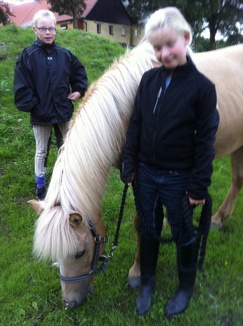 blandet igennem mine hesteår - Min part Sif og min venined billede 9