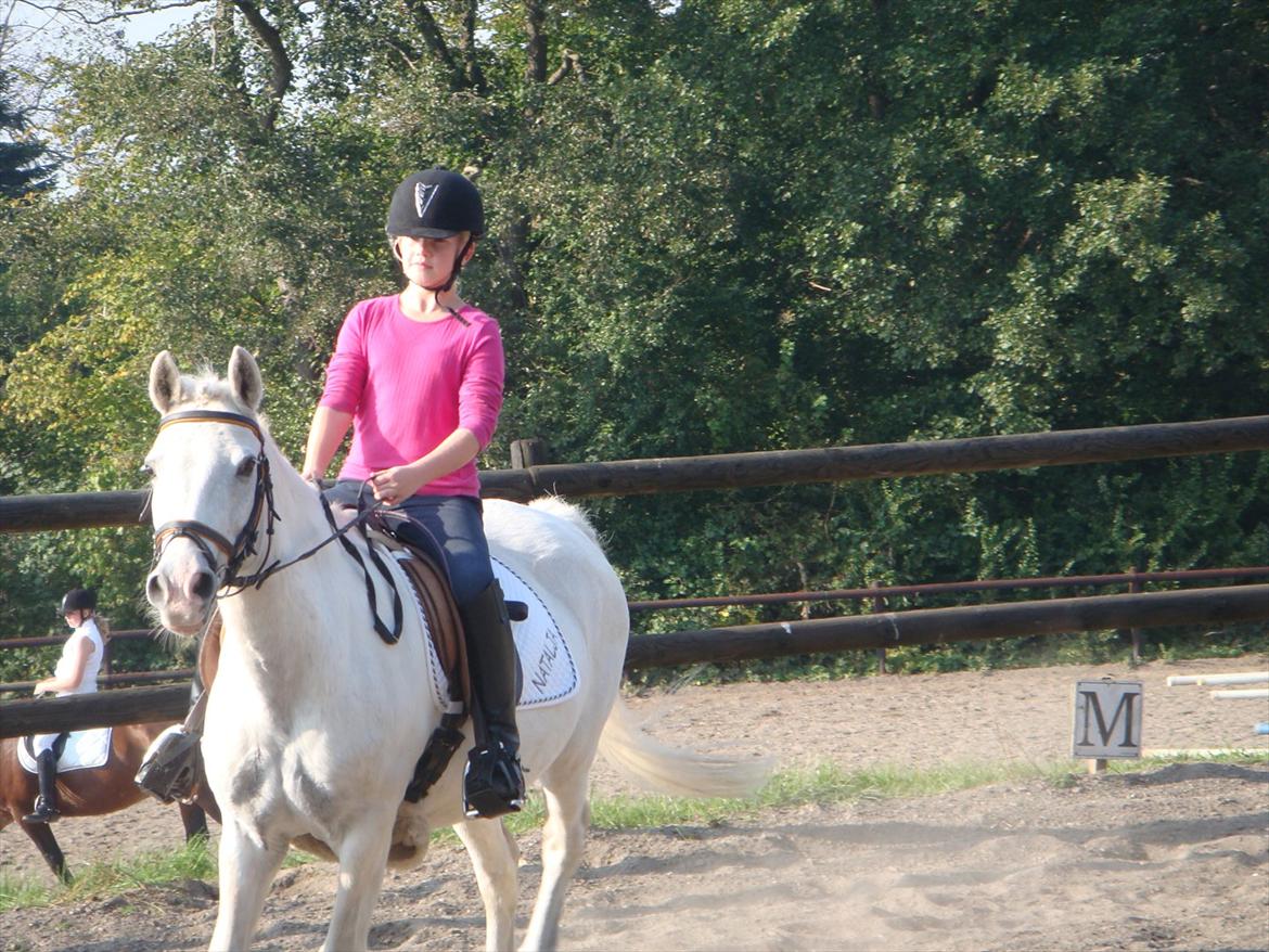 blandet igennem mine hesteår - Mere stævne billede 14