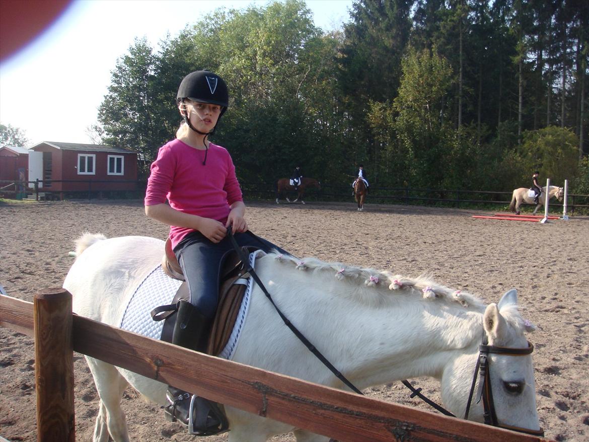 blandet igennem mine hesteår - Opvarmning billede 15