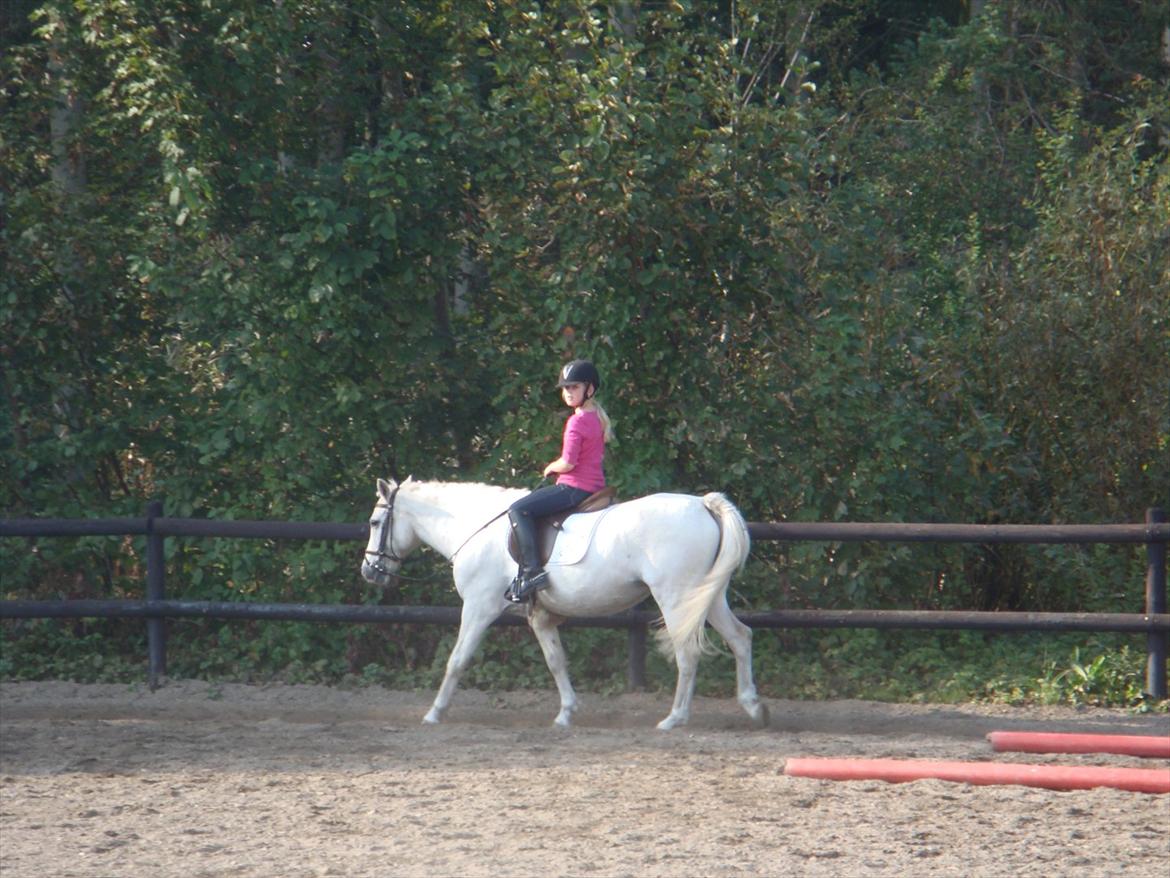 blandet igennem mine hesteår - Opvarmning billede 18