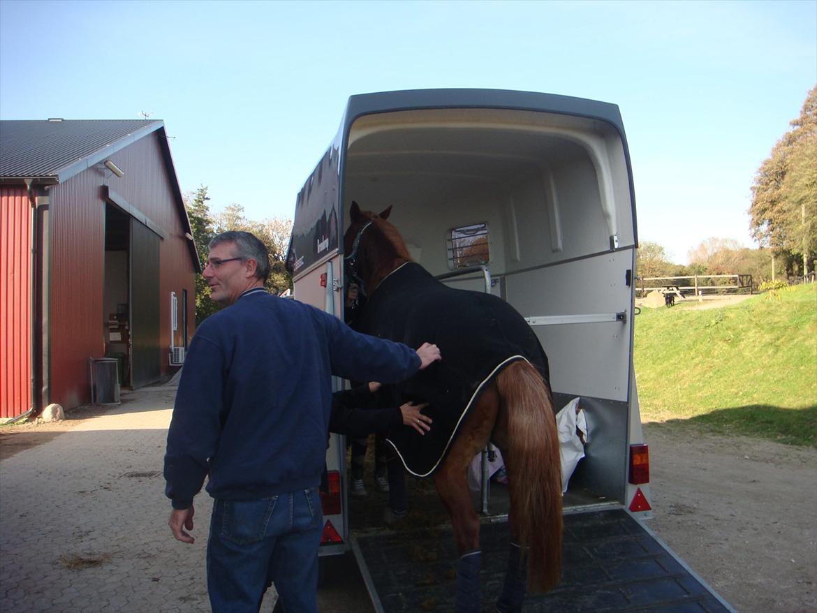blandet igennem mine hesteår - Da Oliver kom billede 6