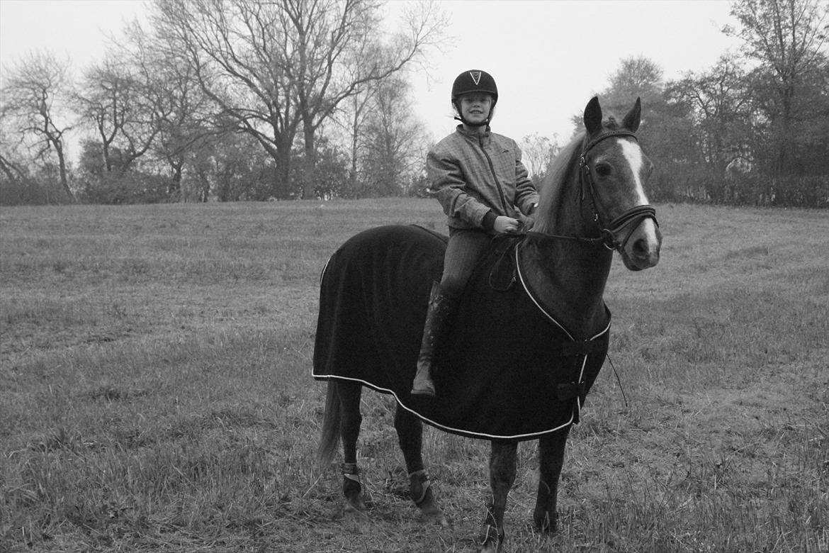 blandet igennem mine hesteår - Oliver og mig på marken billede 2