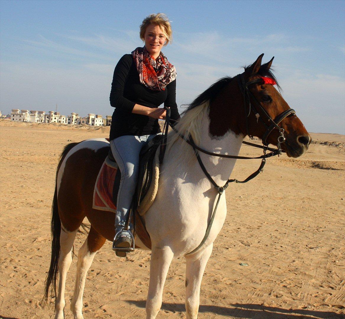 Billeder af mig i Egypten .. billede 1