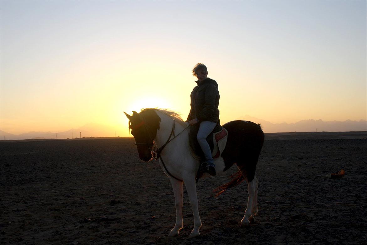 Billeder af mig i Egypten .. billede 8