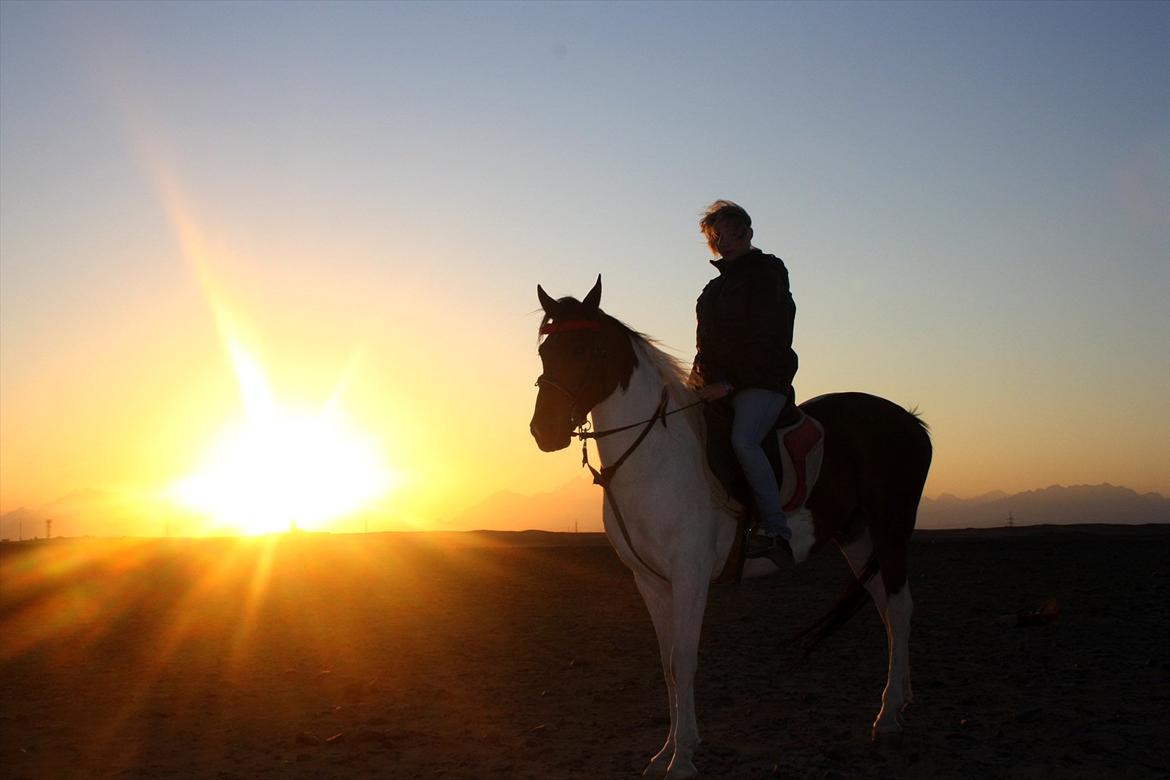 Billeder af mig i Egypten .. billede 9