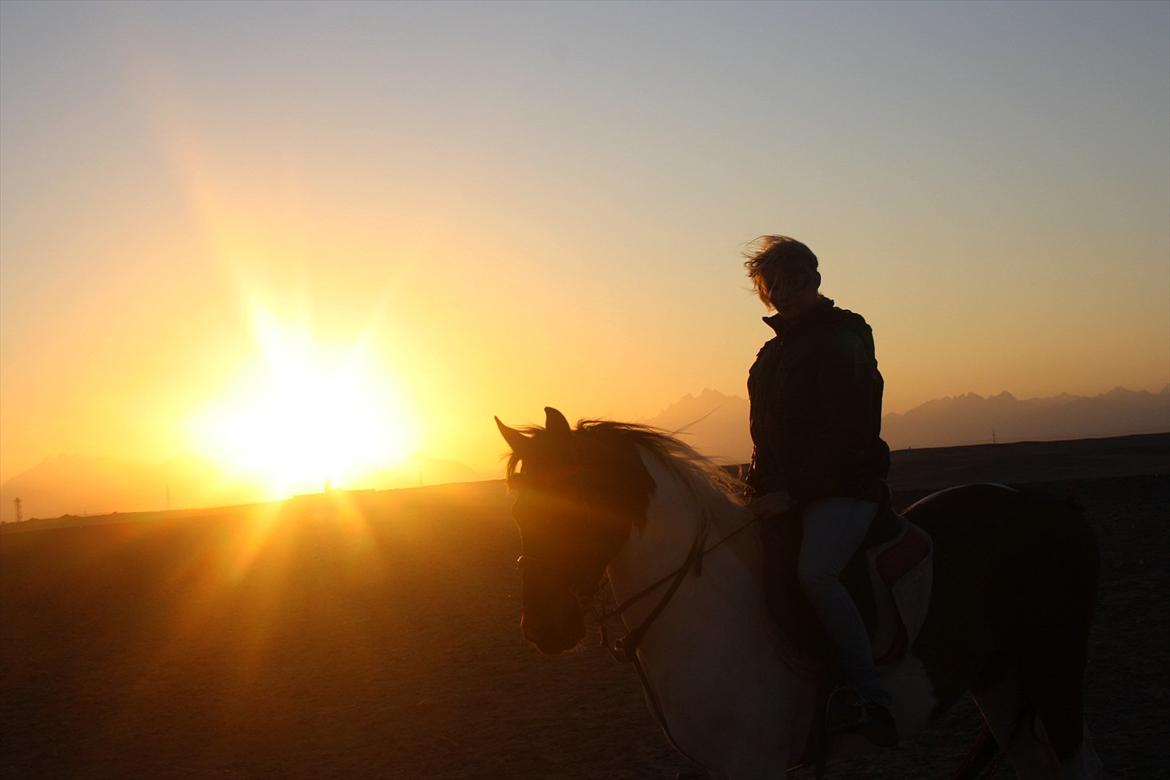 Billeder af mig i Egypten .. billede 10