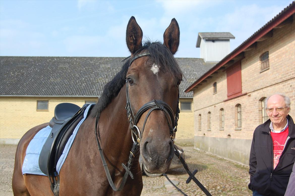 Stuntjunge billede 2