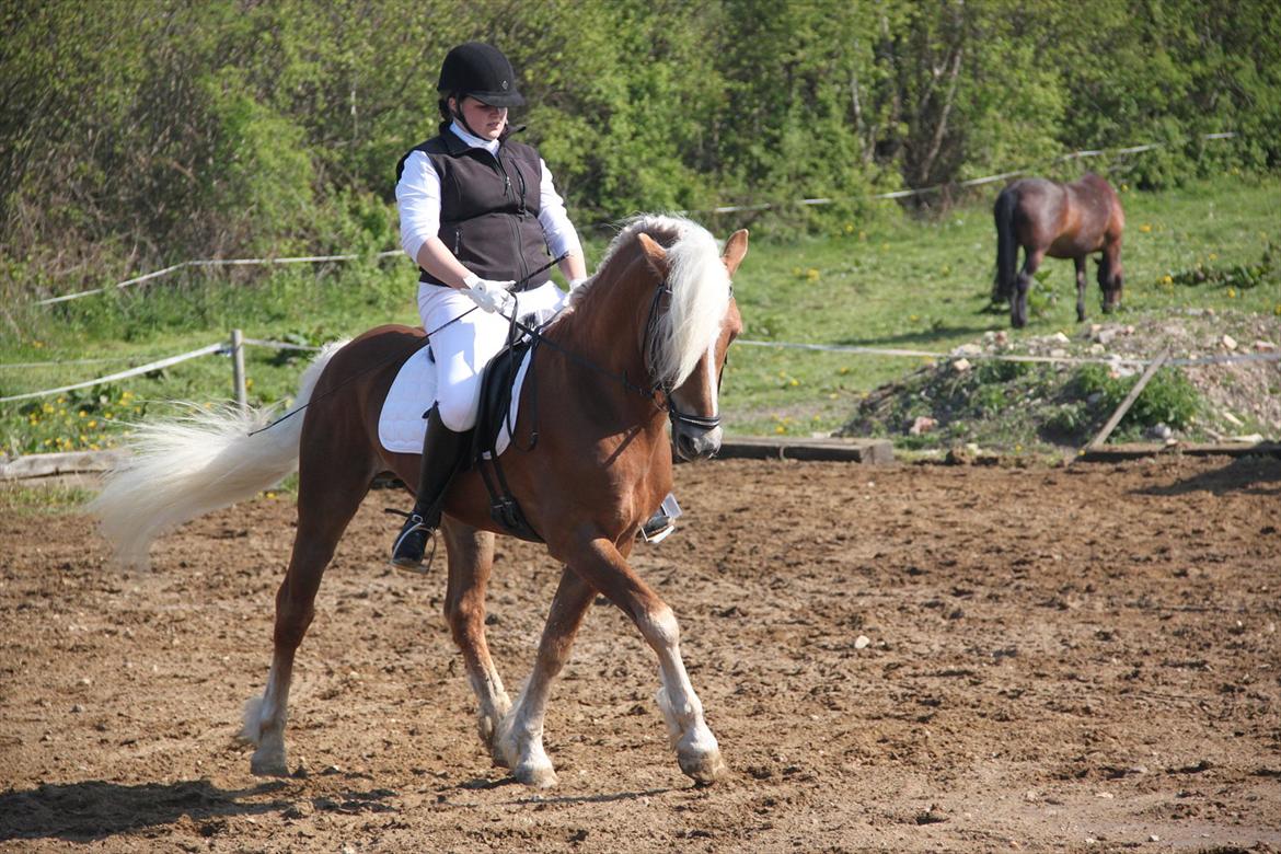 William HAH 19 & Rikke Møller Beck billede 2