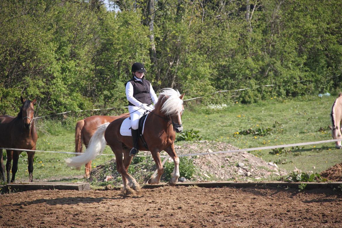 William HAH 19 & Rikke Møller Beck billede 3