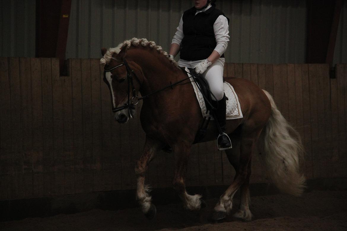 William HAH 19 & Rikke Møller Beck billede 5