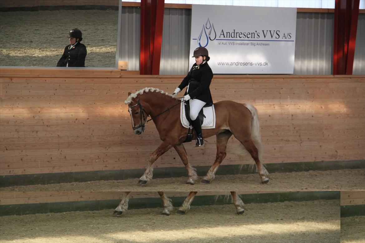 William HAH 19 & Rikke Møller Beck billede 6