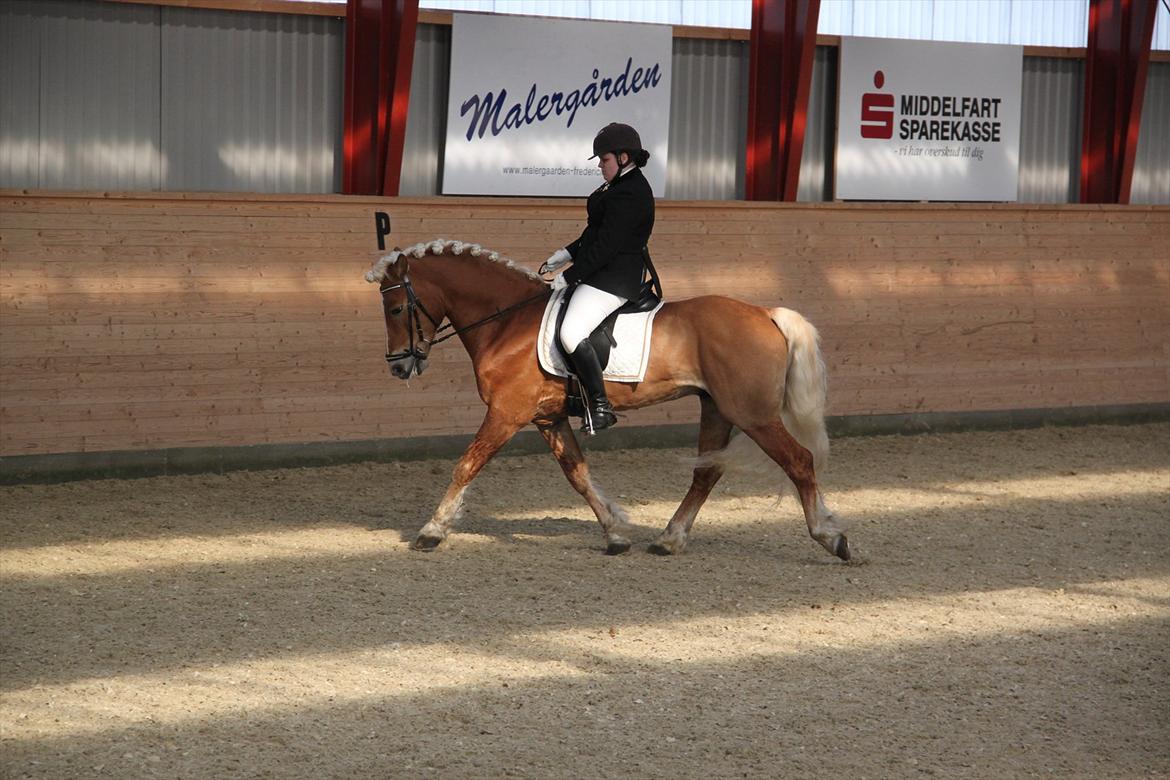 William HAH 19 & Rikke Møller Beck billede 7