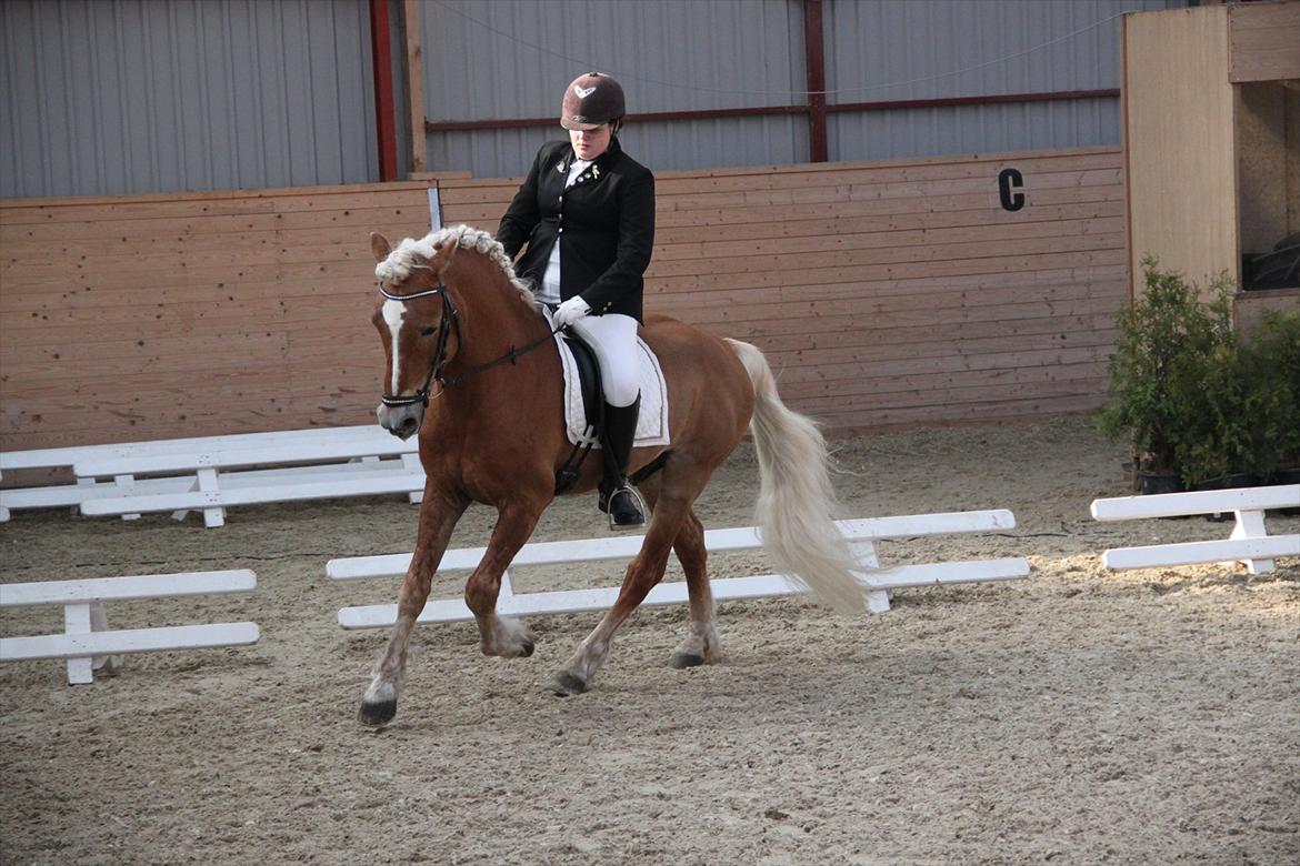 William HAH 19 & Rikke Møller Beck billede 8