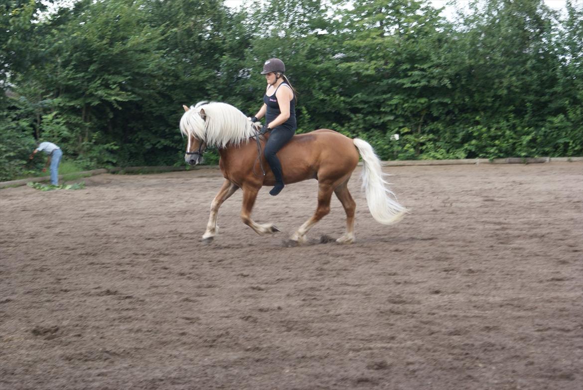 William HAH 19 & Rikke Møller Beck billede 11