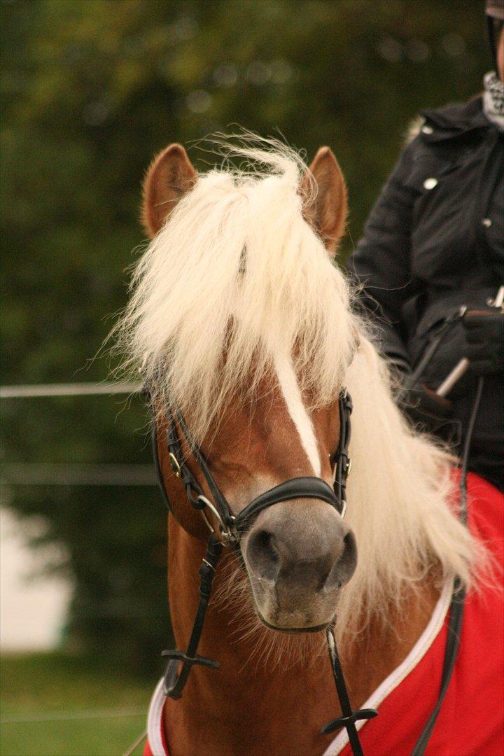 William HAH 19 & Rikke Møller Beck billede 13