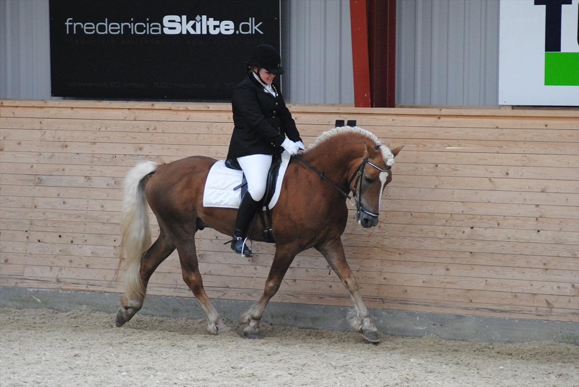 William HAH 19 & Rikke Møller Beck billede 16